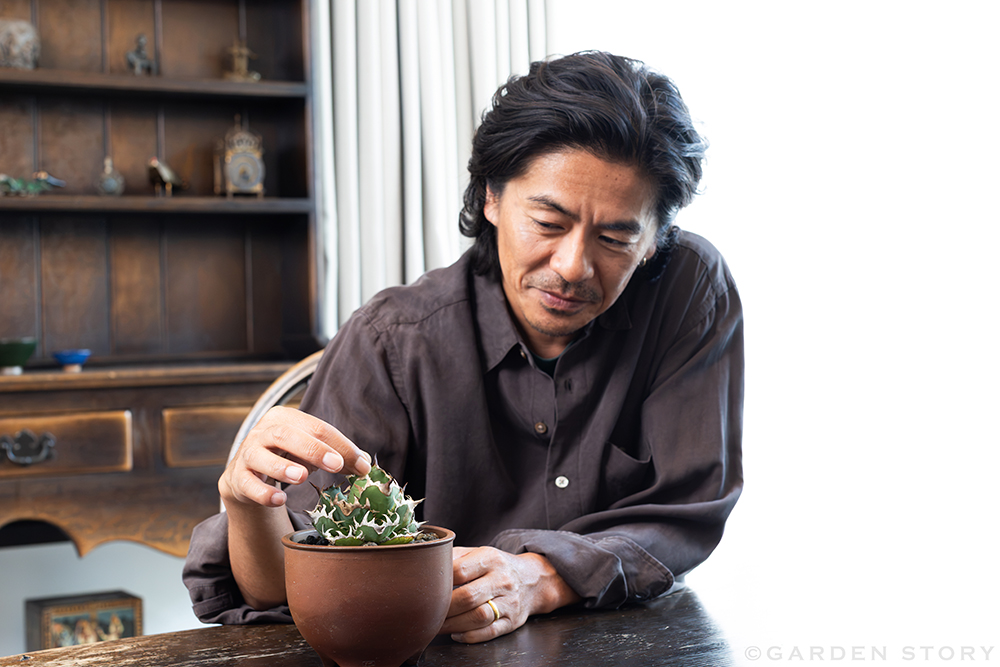 アガベの鋸歯を愛でる森田剛