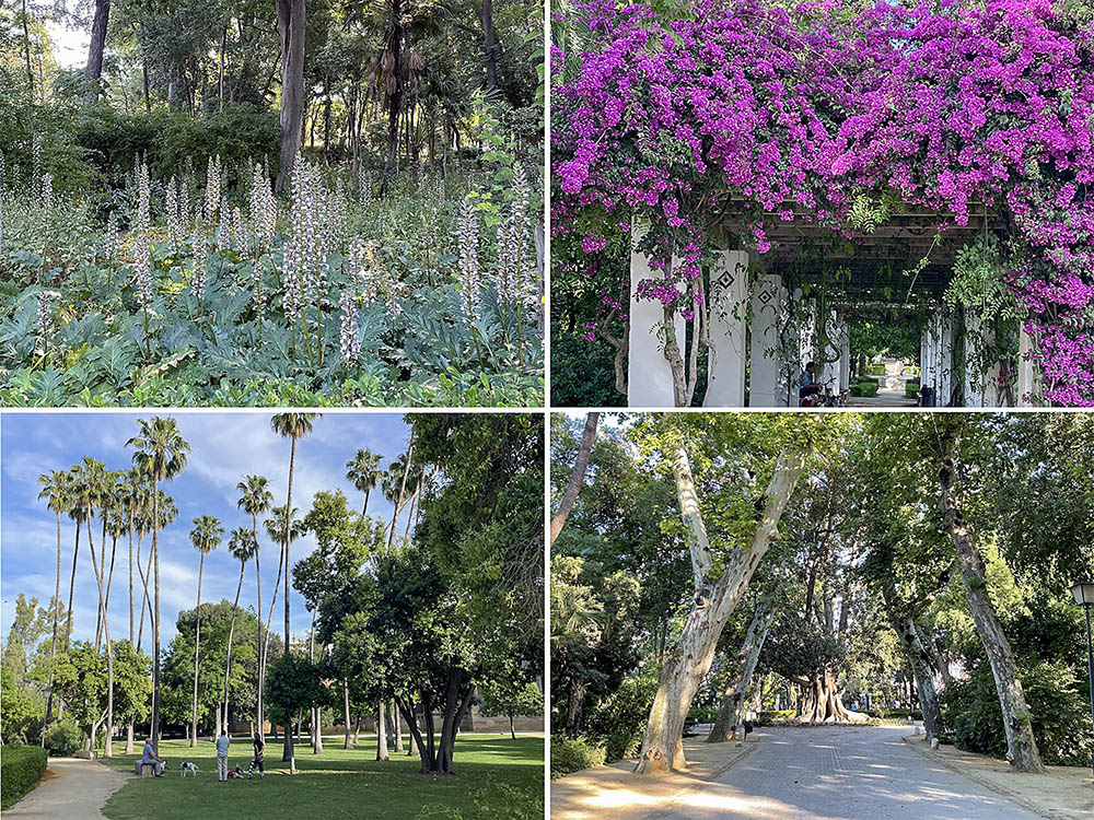 マリア=ルイサ公園の花々