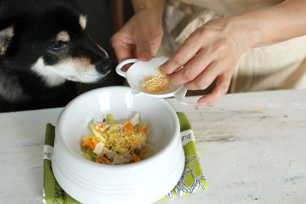 愛犬とチーズ