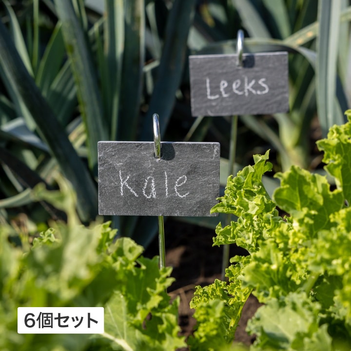 プランツタグ スティック 6個セット  -GARDEN STORY Series-